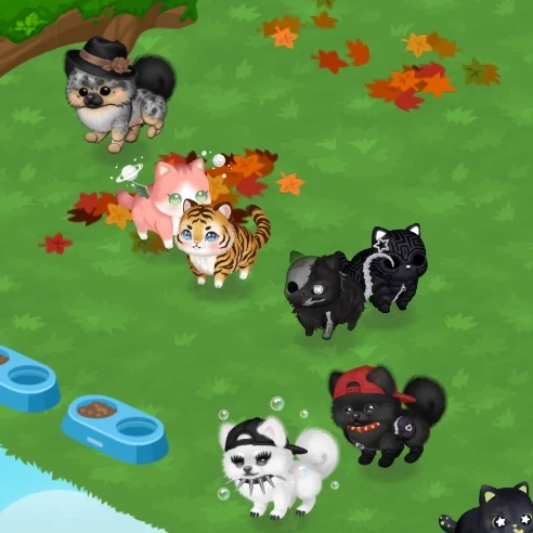 ZOO 🐰🐶🐅🐈‍⬛