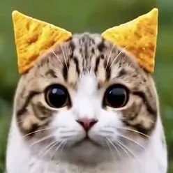 🤍грабы от Musya🤍