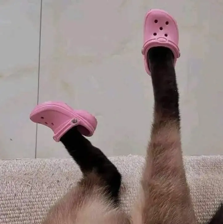 тапочки